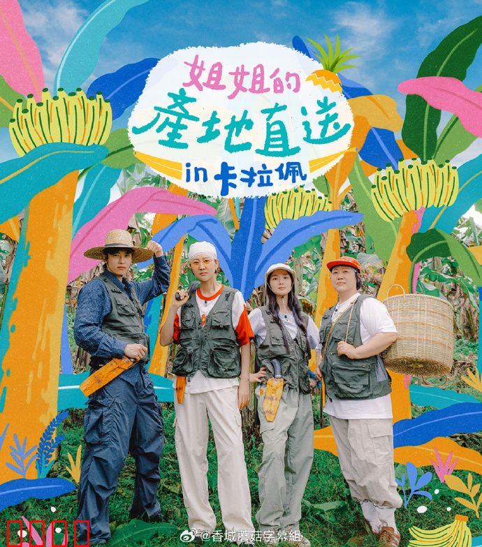 姐姐家的产地直送3