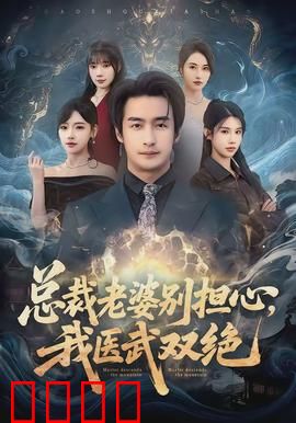 总裁老婆别担心，我医武双绝
