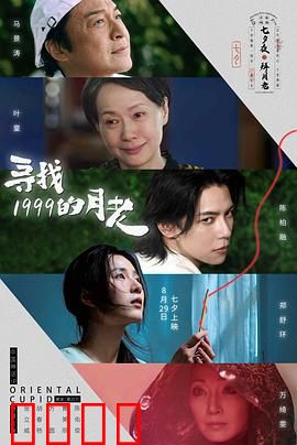 寻找1999的月老