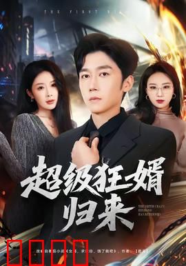 超级狂婿归来