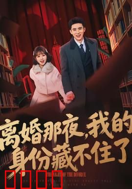 离婚那夜，我的身份藏不住了