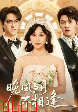 晚风与月不相逢