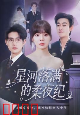 星河落满的柔夜纪