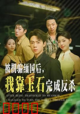 被拐骗缅国后，我靠玉石完成反杀