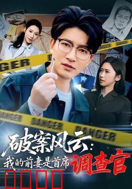破案风云