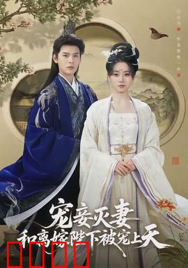 宠妾灭妻，和离嫁陛下被宠上天