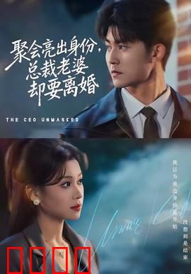 聚会亮出身份，总裁老婆却要离婚