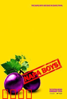 纳帕酷男团