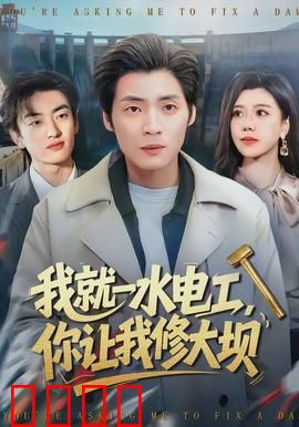 我就一水电工，你让我修大坝