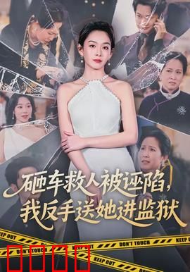 砸车救人被诬陷，我反手送她进监狱