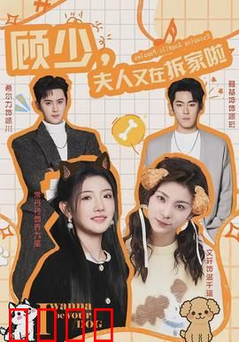 顾少，夫人又在拆家啦