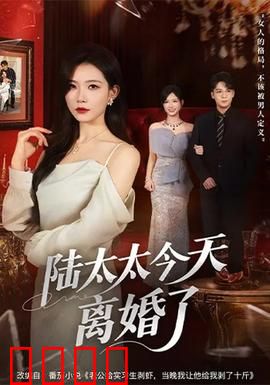 陆太太今天离婚了