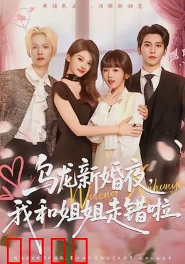 乌龙新婚夜，我和姐姐走错啦
