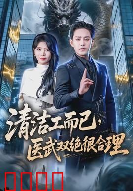 清洁工而已，医武双绝很合理