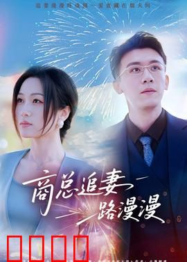 商总追妻路漫漫