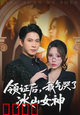 领证后，我气哭了冰山女神