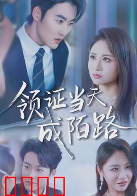 领证当天成陌路