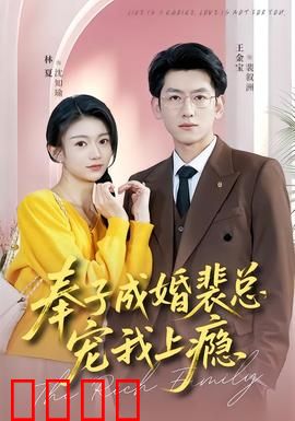 奉子成婚裴总宠我上瘾