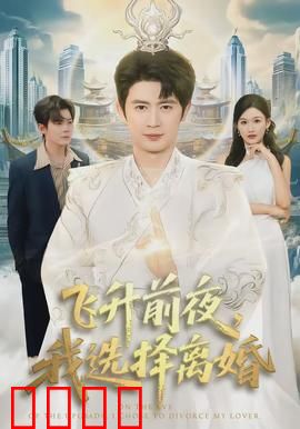 飞升前夜，我选择离婚