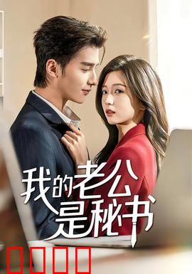 我的老公是秘书