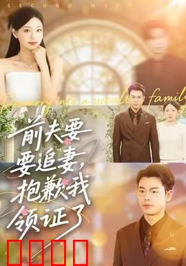 前夫要追妻，抱歉我领证了
