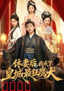 休妻后，我成了皇城最狂鹰犬