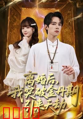 离婚后，我突破金丹期，引来天劫