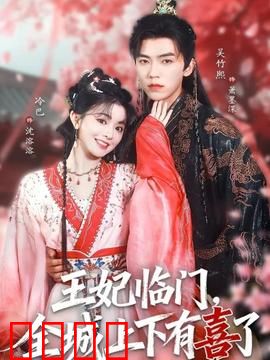 王妃临门全城上下有喜了
