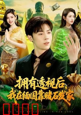 拥有透视后，我在缅国靠赌石发家