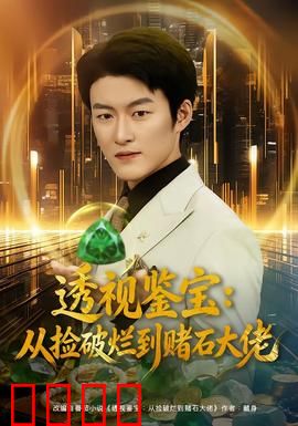 透视鉴宝