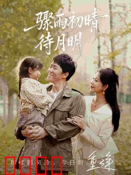 骤雨初晴待月明