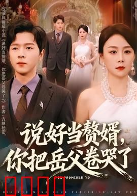 说好当赘婿，你把岳父卷哭了