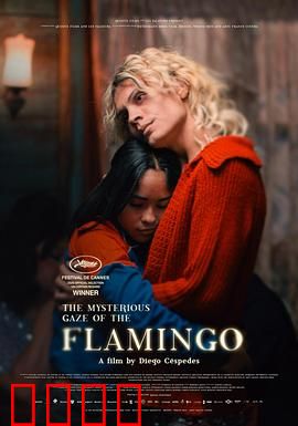 弗拉明戈的神秘眼神