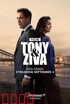 海军罪案调查处