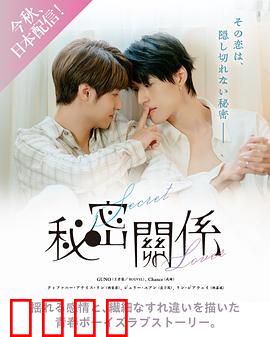 秘密关系台版