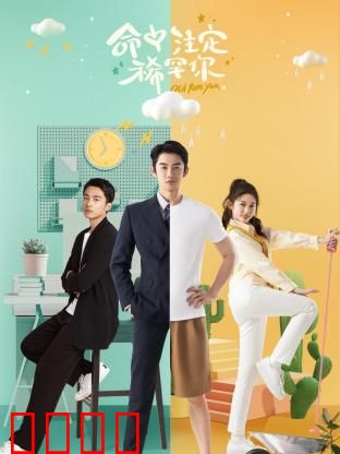 命中注定稀罕你