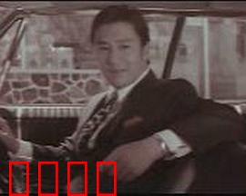 青春恋歌