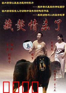 藏獒情未了