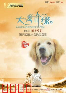 犬爱奇缘