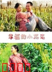 幸福的小杨屯