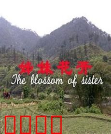姊妹花开