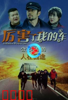 厉害了我的车