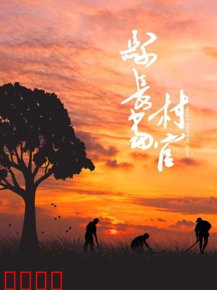 县长当村官