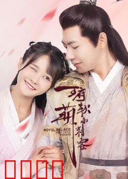 王府软萌小刺客