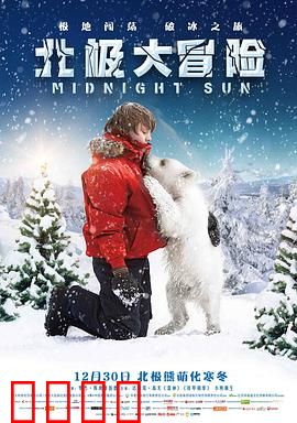 北极大冒险
