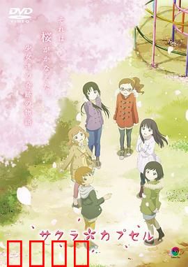 樱花树下的时间胶囊