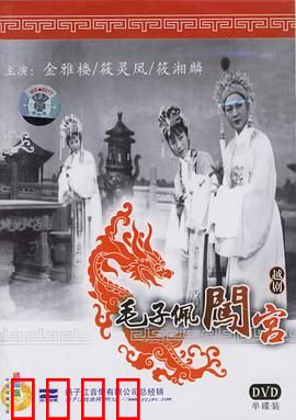 毛子佩闯宫