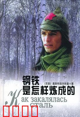钢铁是怎样炼成的