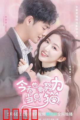 今天也要努力当只猫