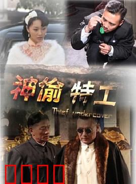 神偷特工